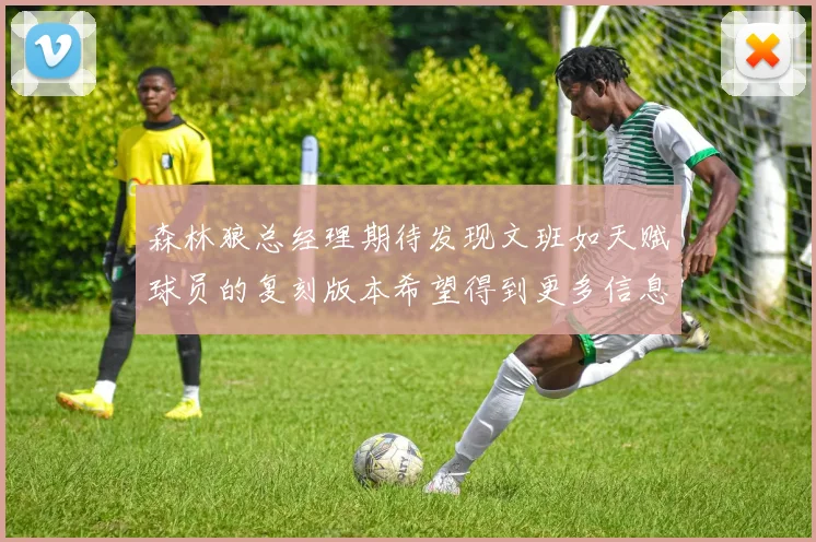 森林狼总经理期待发现文班如天赋球员的复刻版本希望得到更多信息