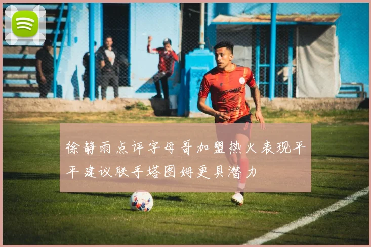 徐静雨点评字母哥加盟热火表现平平建议联手塔图姆更具潜力