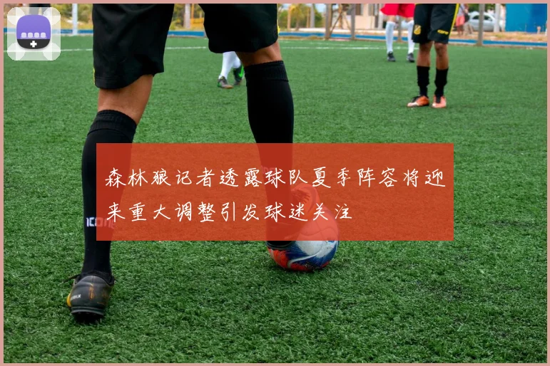 森林狼记者透露球队夏季阵容将迎来重大调整引发球迷关注